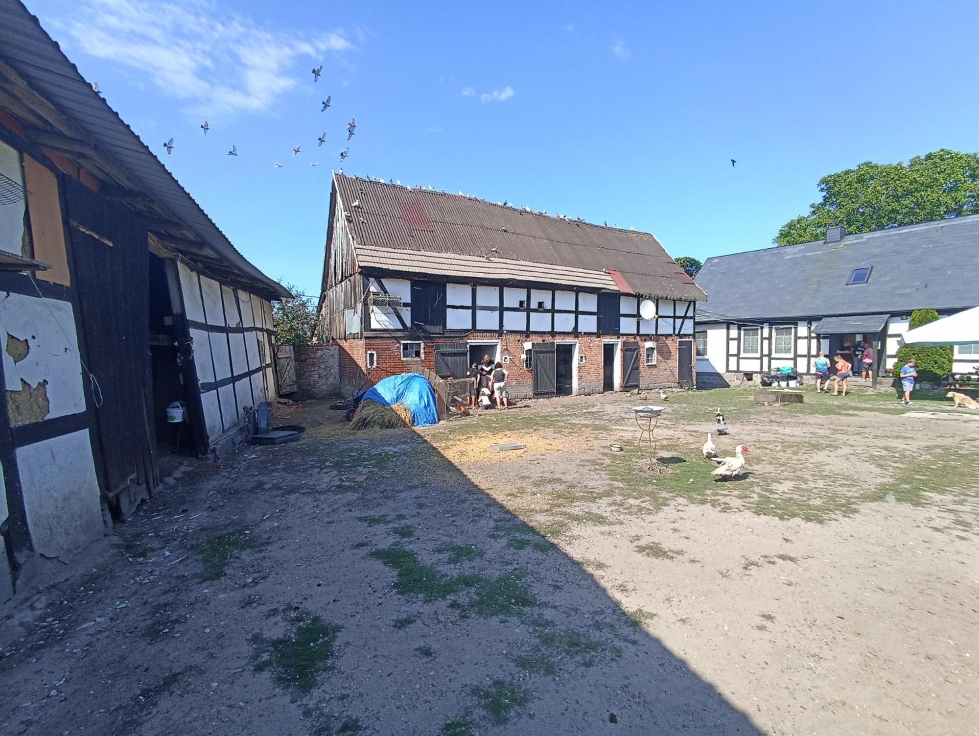 Domki Alfa Kopań Exterior foto